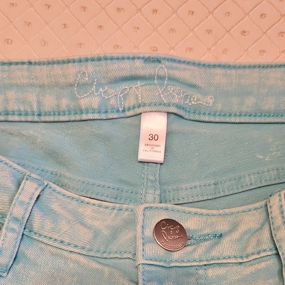 Chip & Pepper-Stonewashed Mint/Blue Green Shorts- Size 30 - Picture 6 of 8